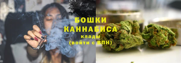 МДПВ Михайлов