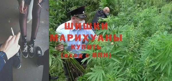 МДПВ Михайлов