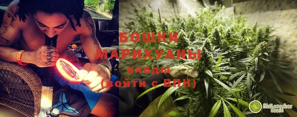 МДПВ Михайлов