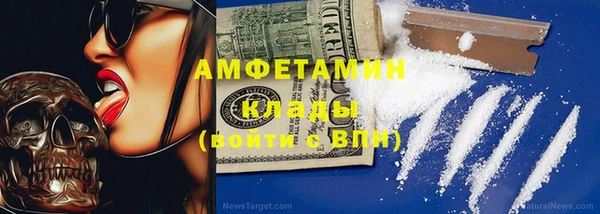 МДПВ Михайлов