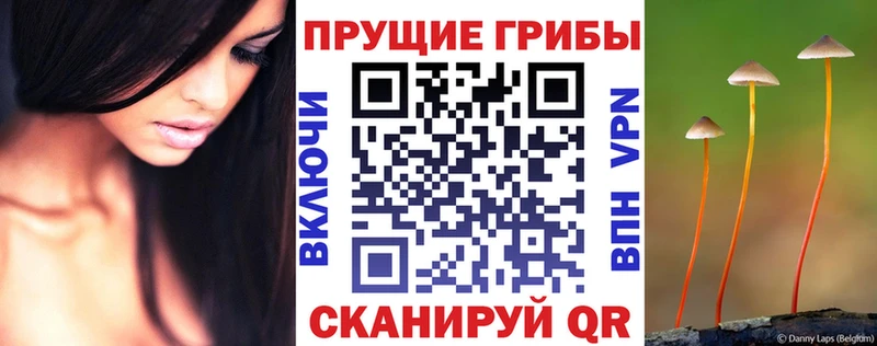 Галлюциногенные грибы мицелий  мориарти формула  Яхрома  mega ссылки 