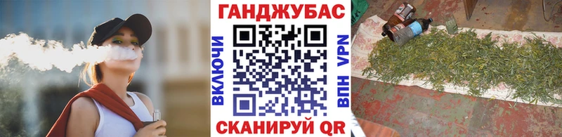 Каннабис сатива  что такое   Яхрома 